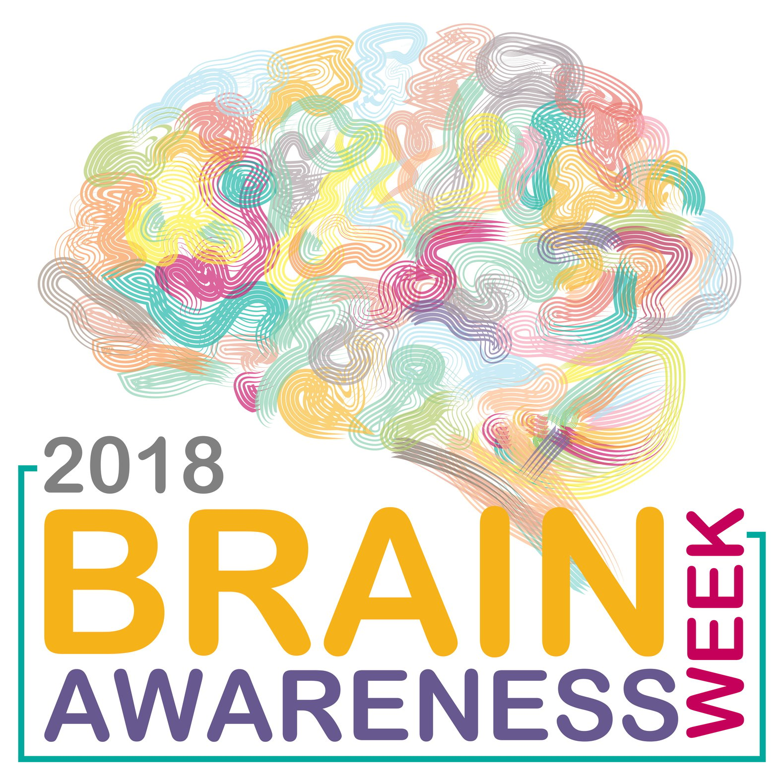 Brain Awareness Week—MRI and CT Imaging
